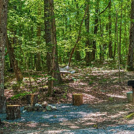 Coyote Cabin At Woodland Retreat At Desoto Beside Desoto State Park 佩恩堡 外观 照片