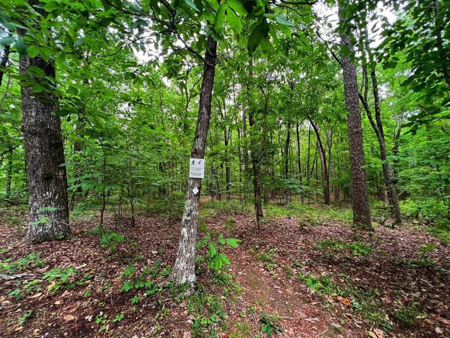 Coyote Cabin At Woodland Retreat At Desoto Beside Desoto State Park 佩恩堡 外观 照片